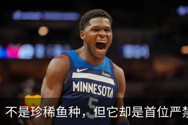 不是珍稀鱼种，但它却是首位严禁垂钓的鱼，鲢鳙的地位这么高？