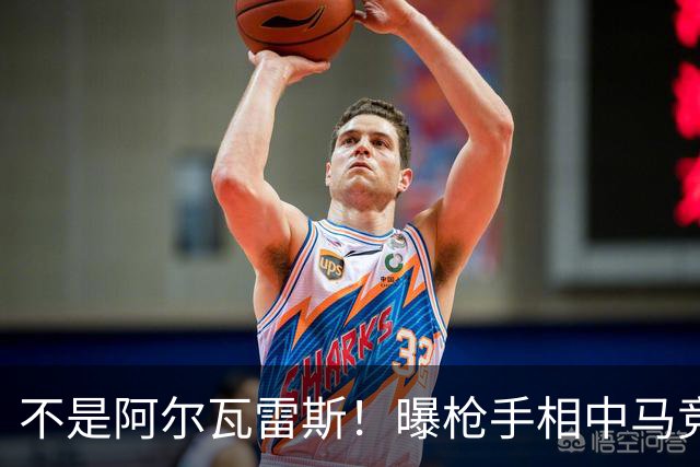 不是阿尔瓦雷斯！曝枪手相中马竞神锋 本赛季12场独造8球