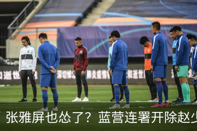 张雅屏也怂了？蓝营连署开除赵少康，张雅屏：联署人数不能替代事证