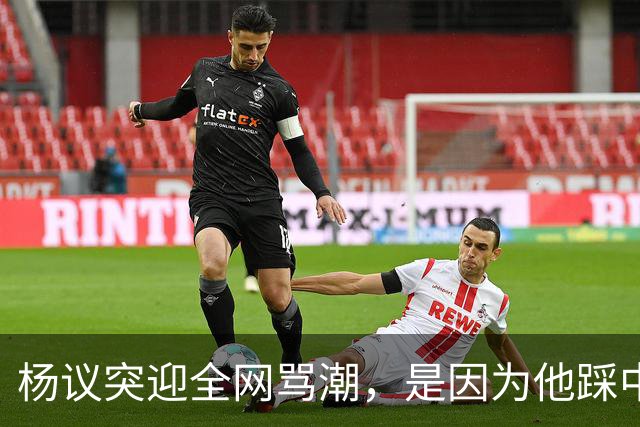 杨议突迎全网骂潮，是因为他踩中了，中国观众最讨厌的3个雷区