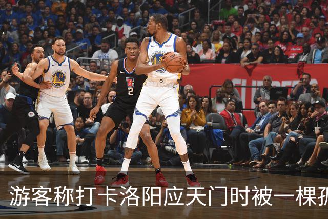 游客称打卡洛阳应天门时被一棵孤树遮挡，网友称“树比门早”，当地：树是百年古树，修建应天门时专门保留