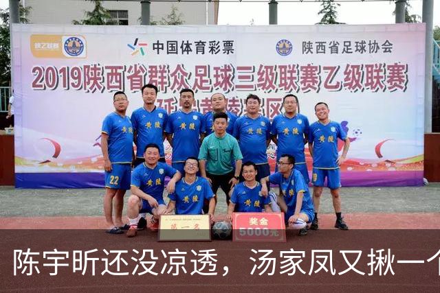 陈宇昕还没凉透，汤家凤又揪一个“精日”人员：竟然还是公司老板