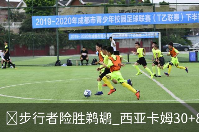 🏀步行者险胜鹈鹕 西亚卡姆30+8 哈利回归23+12 锡安22分