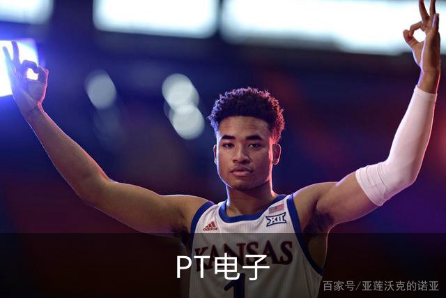 PT电子公司介绍图片